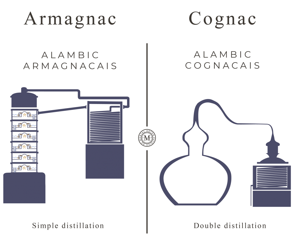Quelles sont les différences entre l’Armagnac et le Cognac