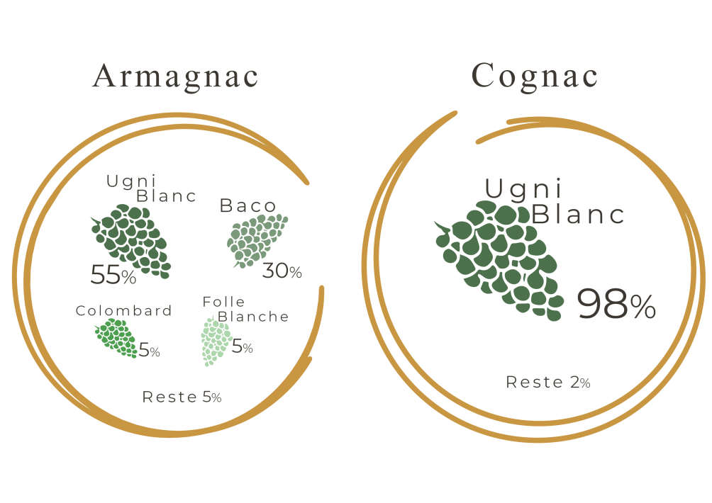 Quelles sont les différences entre l’Armagnac et le Cognac
